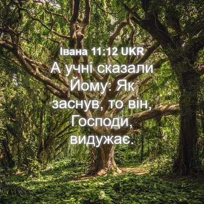 Picture 04 - Івана 11:12 UKR - А учні сказали Йому: Як - Bible Verse Picture