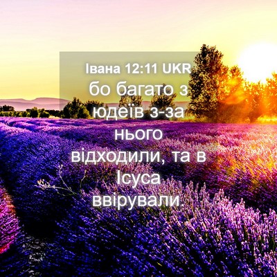 Picture 04 - Івана 12:11 UKR - бо багато з юдеїв з-за - Bible Verse Picture