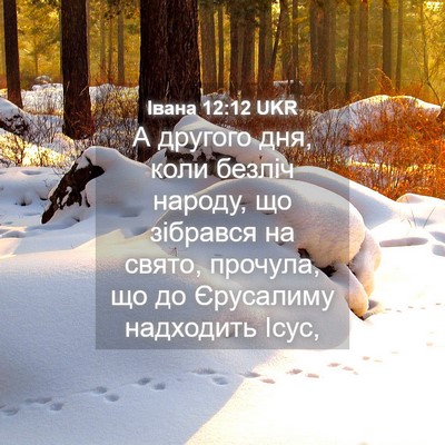 Picture 04 - Івана 12:12 UKR - А другого дня, коли безліч - Bible Verse Picture