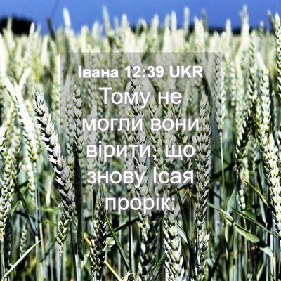 Picture 04 - Івана 12:39 UKR - Тому не могли вони вірити, - Bible Verse Picture