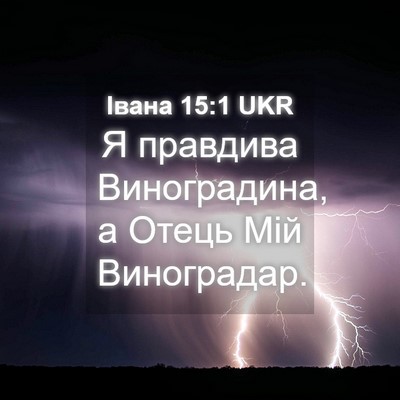 Picture 04 - Івана 15:1 UKR - Я правдива Виноградина, а - Bible Verse Picture