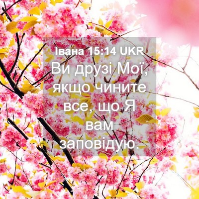 Picture 04 - Івана 15:14 UKR - Ви друзі Мої, якщо чините - Bible Verse Picture