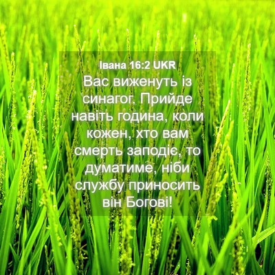 Picture 04 - Івана 16:2 UKR - Вас виженуть із синагог. - Bible Verse Picture