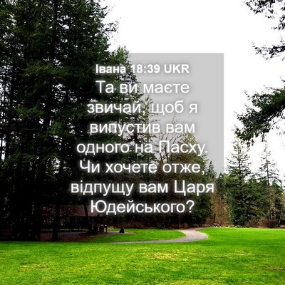 Picture 04 - Івана 18:39 UKR - Та ви маєте звичай, щоб я - Bible Verse Picture