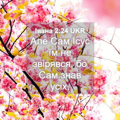 Picture 04 - Івана 2:24 UKR - Але Сам Ісус їм не - Bible Verse Picture