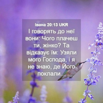 Picture 04 - Івана 20:13 UKR - І говорять до неї вони: - Bible Verse Picture