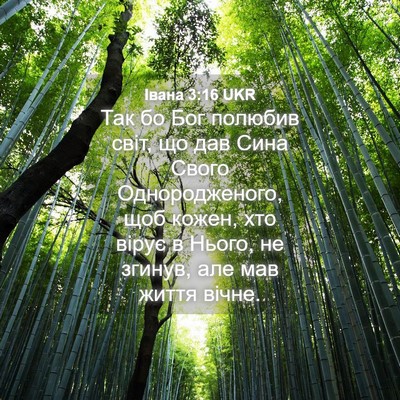 Picture 04 - Івана 3:16 UKR - Так бо Бог полюбив світ, що - Bible Verse Picture