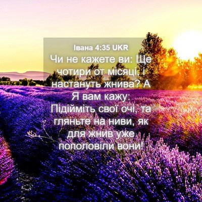 Picture 04 - Івана 4:35 UKR - Чи не кажете ви: Ще чотири - Bible Verse Picture