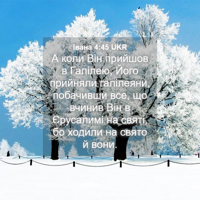 Picture 04 - Івана 4:45 UKR - А коли Він прийшов в - Bible Verse Picture