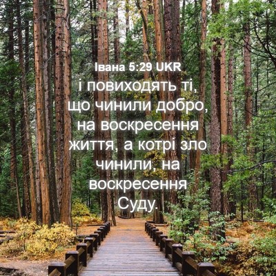 Picture 04 - Івана 5:29 UKR - і повиходять ті, що чинили - Bible Verse Picture