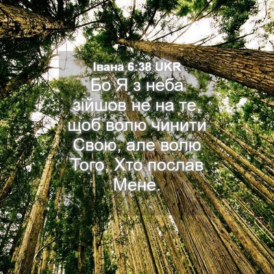 Picture 04 - Івана 6:38 UKR - Бо Я з неба зійшов не на те, - Bible Verse Picture