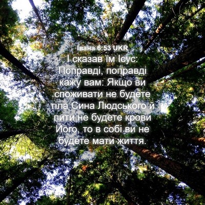 Picture 04 - Івана 6:53 UKR - І сказав їм Ісус: Поправді, - Bible Verse Picture