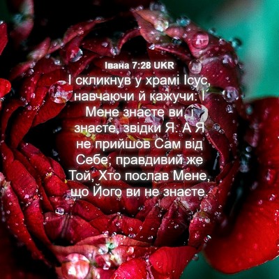 Picture 04 - Івана 7:28 UKR - І скликнув у храмі Ісус, - Bible Verse Picture