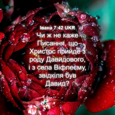 Picture 04 - Івана 7:42 UKR - Чи ж не каже Писання, що - Bible Verse Picture