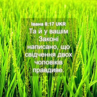 Picture 04 - Івана 8:17 UKR - Та й у вашім Законі - Bible Verse Picture