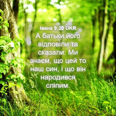 Picture 04 - Івана 9:20 UKR - А батьки його відповіли та - Bible Verse Picture