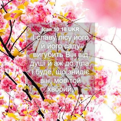 Picture 04 - Ісая 10:18 UKR - І славу лісу його й його - Bible Verse Picture