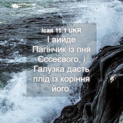 Picture 04 - Ісая 11:1 UKR - І вийде Пагінчик із пня - Bible Verse Picture