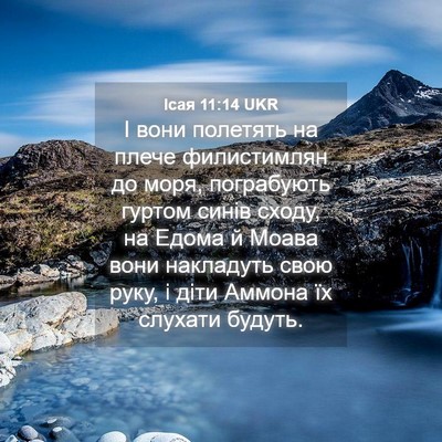 Picture 04 - Ісая 11:14 UKR - І вони полетять на плече - Bible Verse Picture
