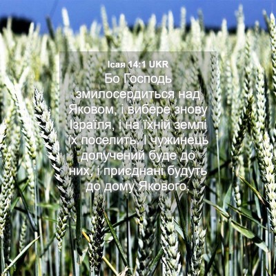 Picture 04 - Ісая 14:1 UKR - Бо Господь змилосердиться - Bible Verse Picture