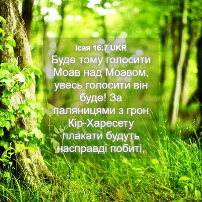 Picture 04 - Ісая 16:7 UKR - Буде тому голосити Моав - Bible Verse Picture