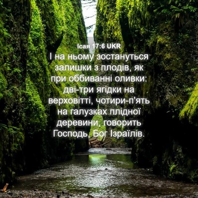 Picture 04 - Ісая 17:6 UKR - І на ньому зостануться - Bible Verse Picture