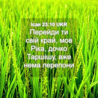 Picture 04 - Ісая 23:10 UKR - Перейди ти свій край, мов - Bible Verse Picture