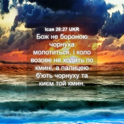 Picture 04 - Ісая 28:27 UKR - Бож не бороною чорнуха - Bible Verse Picture