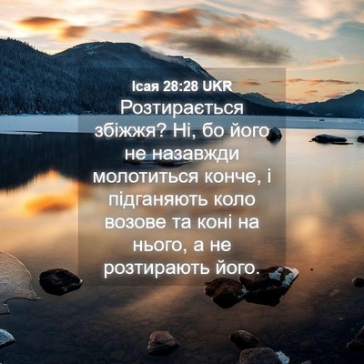 Picture 04 - Ісая 28:28 UKR - Розтирається збіжжя? Ні, бо - Bible Verse Picture