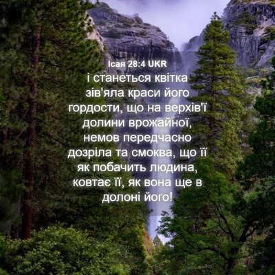 Picture 04 - Ісая 28:4 UKR - і станеться квітка зів'яла - Bible Verse Picture