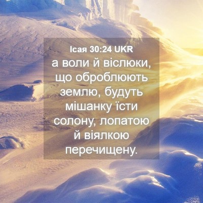 Picture 04 - Ісая 30:24 UKR - а воли й віслюки, що - Bible Verse Picture