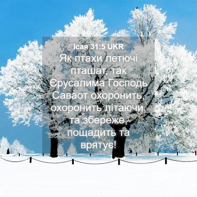 Picture 04 - Ісая 31:5 UKR - Як птахи летючі пташат, так - Bible Verse Picture