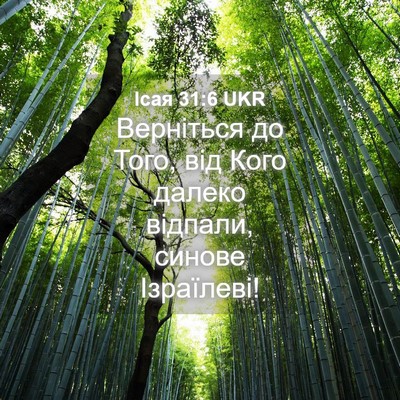 Picture 04 - Ісая 31:6 UKR - Верніться до Того, від Кого - Bible Verse Picture