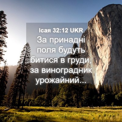 Picture 04 - Ісая 32:12 UKR - За принадні поля будуть - Bible Verse Picture