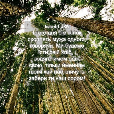 Picture 04 - Ісая 4:1 UKR - І того дня сім жінок - Bible Verse Picture