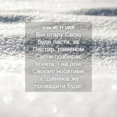 Picture 04 - Ісая 40:11 UKR - Він отару Свою буде пасти, - Bible Verse Picture