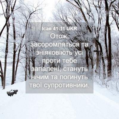 Picture 04 - Ісая 41:11 UKR - Отож, засоромляться та - Bible Verse Picture