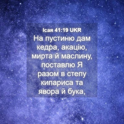 Picture 04 - Ісая 41:19 UKR - На пустиню дам кедра, - Bible Verse Picture