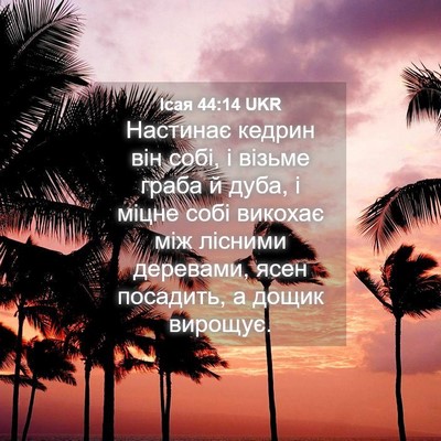 Picture 04 - Ісая 44:14 UKR - Настинає кедрин він собі, і - Bible Verse Picture