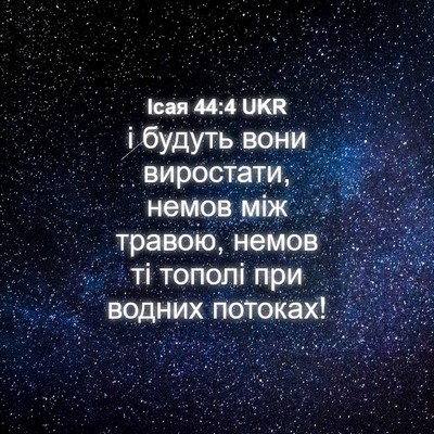 Picture 04 - Ісая 44:4 UKR - і будуть вони виростати, - Bible Verse Picture
