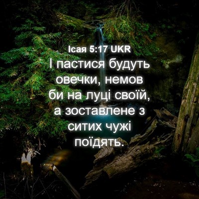 Picture 04 - Ісая 5:17 UKR - І пастися будуть овечки, - Bible Verse Picture
