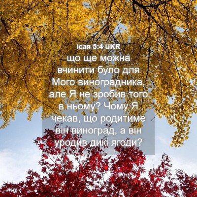 Picture 04 - Ісая 5:4 UKR - що ще можна вчинити було - Bible Verse Picture