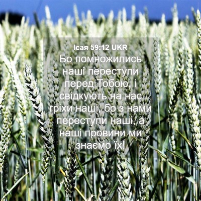 Picture 04 - Ісая 59:12 UKR - Бо помножились наші - Bible Verse Picture