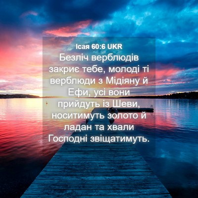 Picture 04 - Ісая 60:6 UKR - Безліч верблюдів закриє - Bible Verse Picture