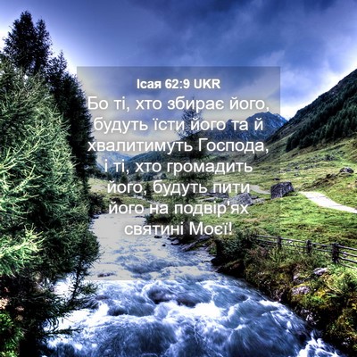 Picture 04 - Ісая 62:9 UKR - Бо ті, хто збирає його, - Bible Verse Picture