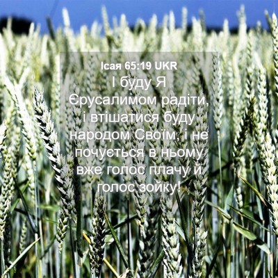 Picture 04 - Ісая 65:19 UKR - І буду Я Єрусалимом радіти, - Bible Verse Picture