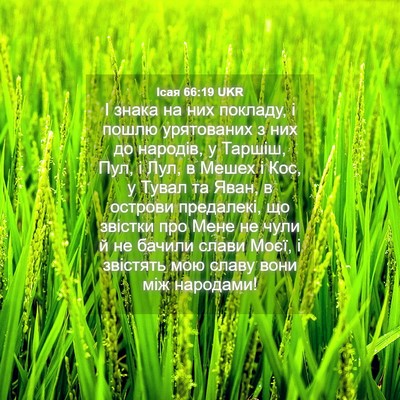 Picture 04 - Ісая 66:19 UKR - І знака на них покладу, і - Bible Verse Picture