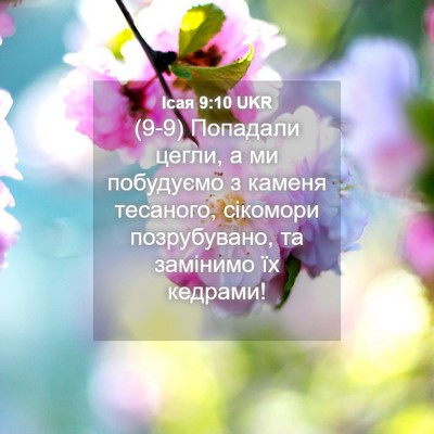 Picture 04 - Ісая 9:10 UKR - (9-9) Попадали цегли, а ми - Bible Verse Picture