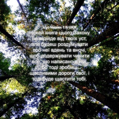 Picture 04 - Ісус Навин 1:8 UKR - Нехай книга цього Закону - Bible Verse Picture