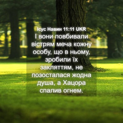 Picture 04 - Ісус Навин 11:11 UKR - І вони повбивали вістрям - Bible Verse Picture